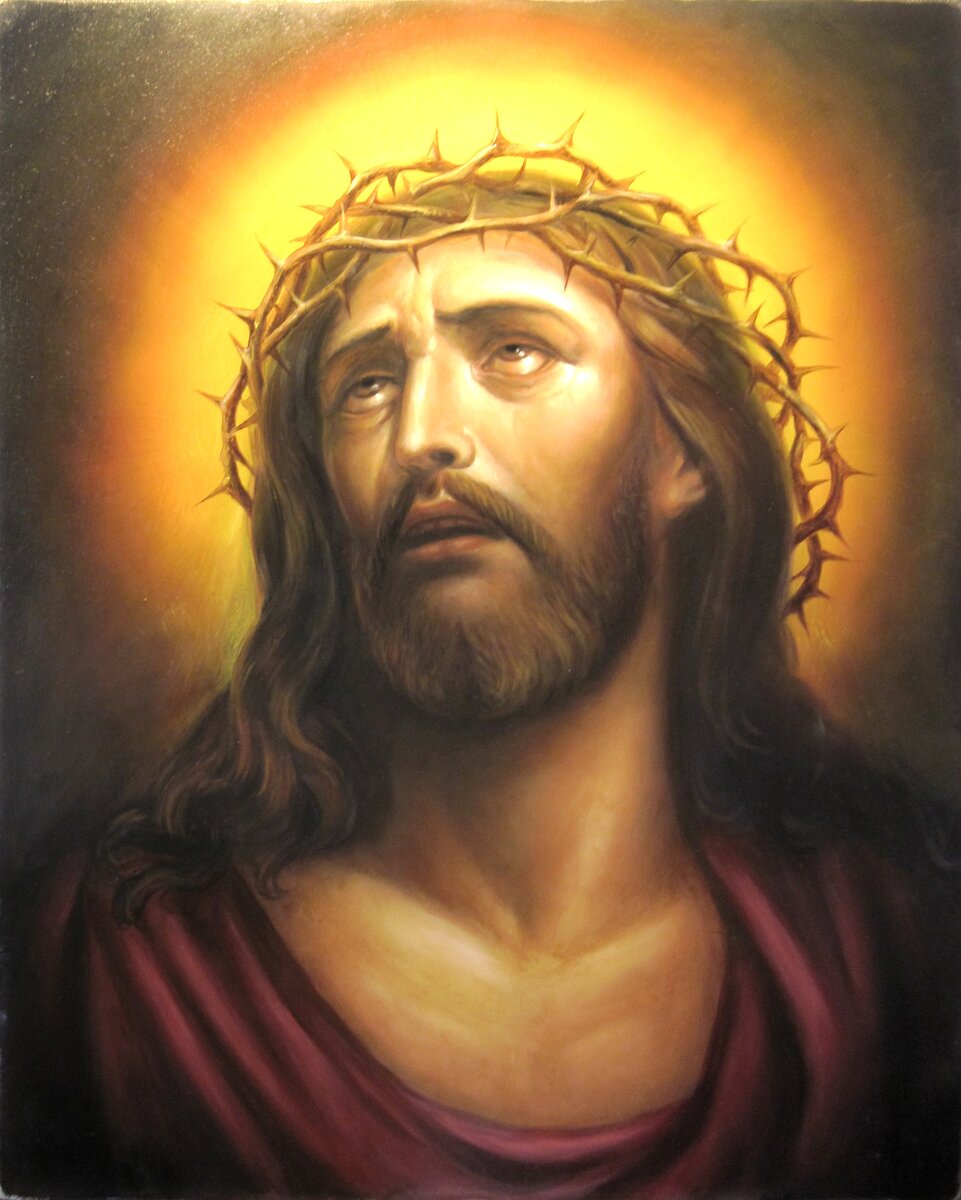 Фотография сделана автором и принадлежит ему.