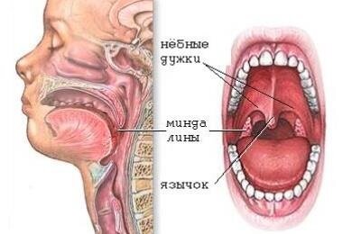 Фото gettyimages