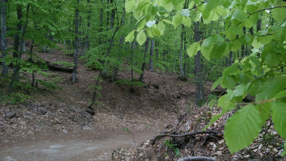 Где то в пути.. 