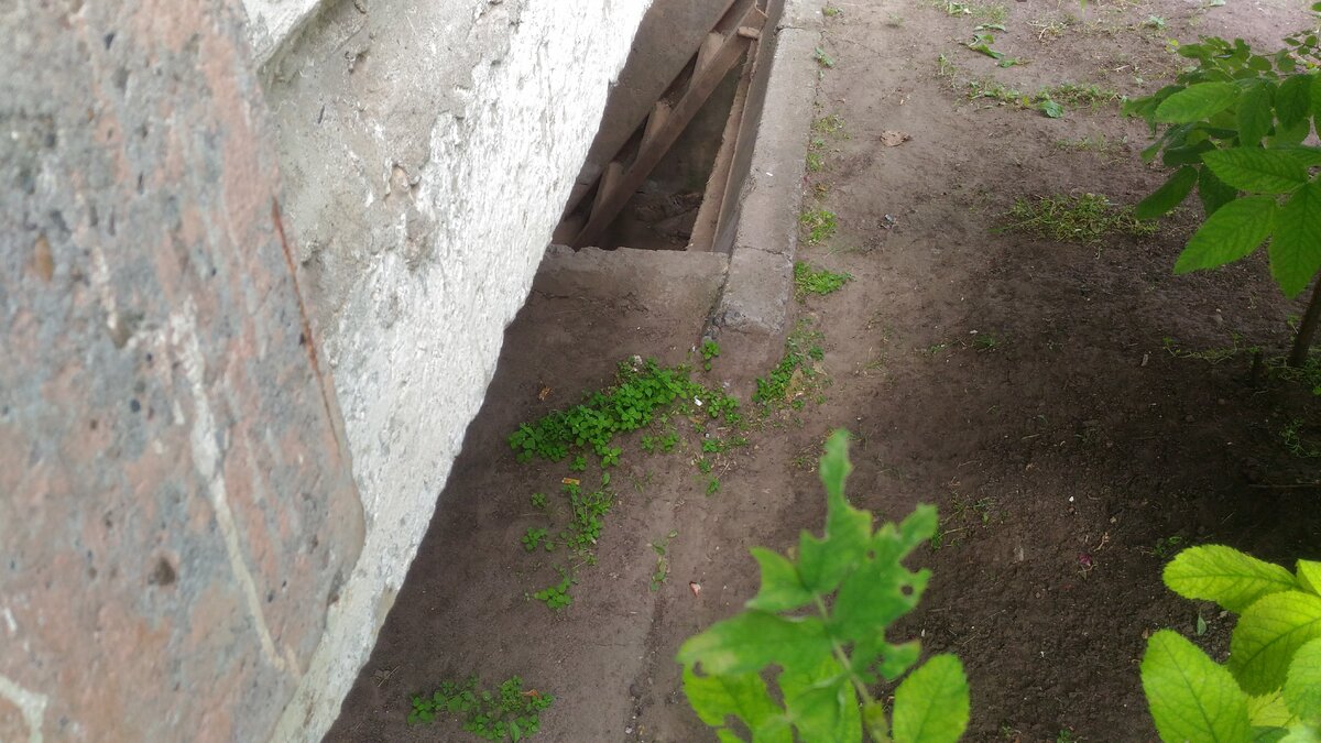 Вход в подвал. Вид с боку.