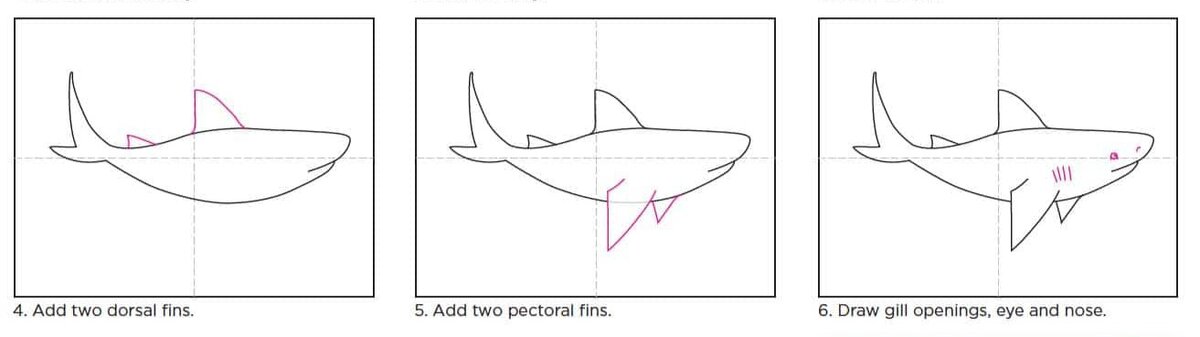 Как нарисовать акулу: 32 несложных, но интересных способа - Лайфхакер
