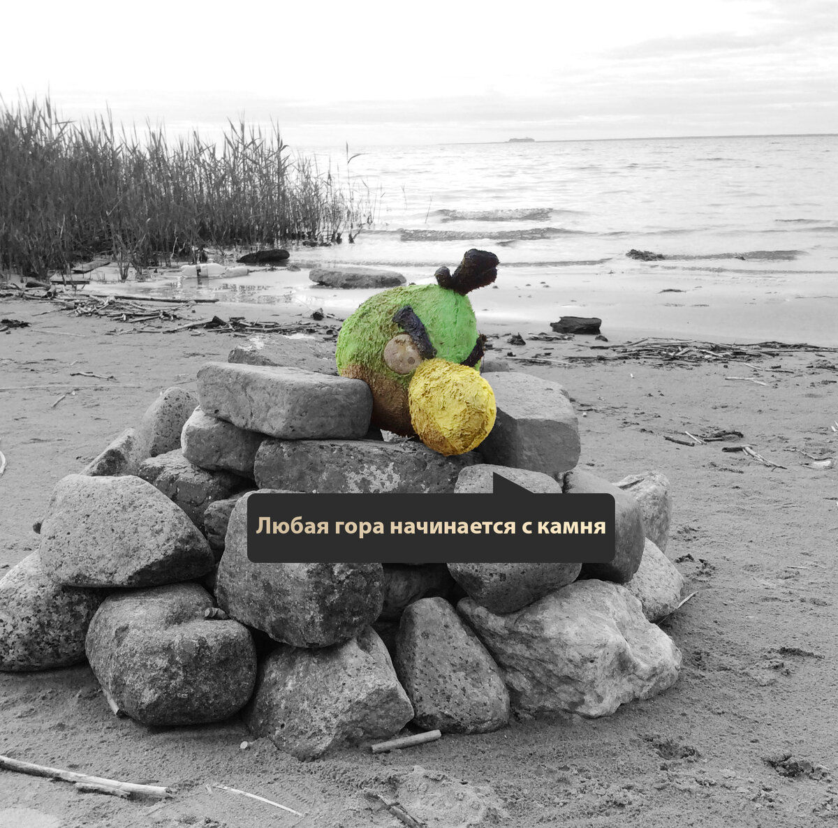 #ХочуДенег