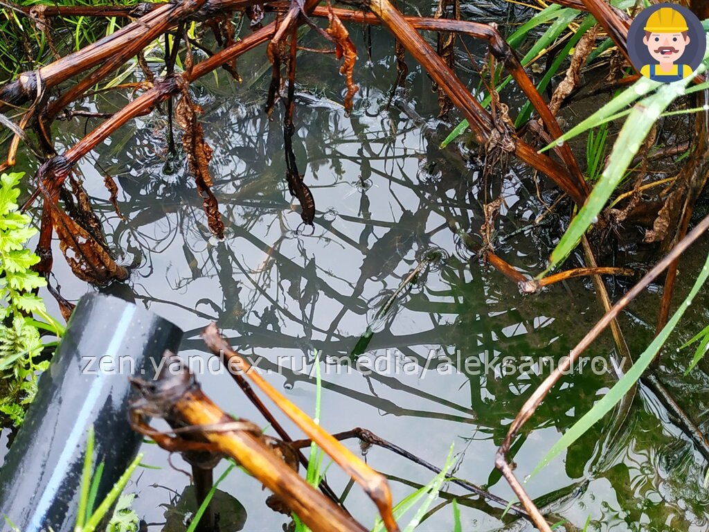 Вот так сливают соседи сточную воду после АУ. Думаю, всё понятно.