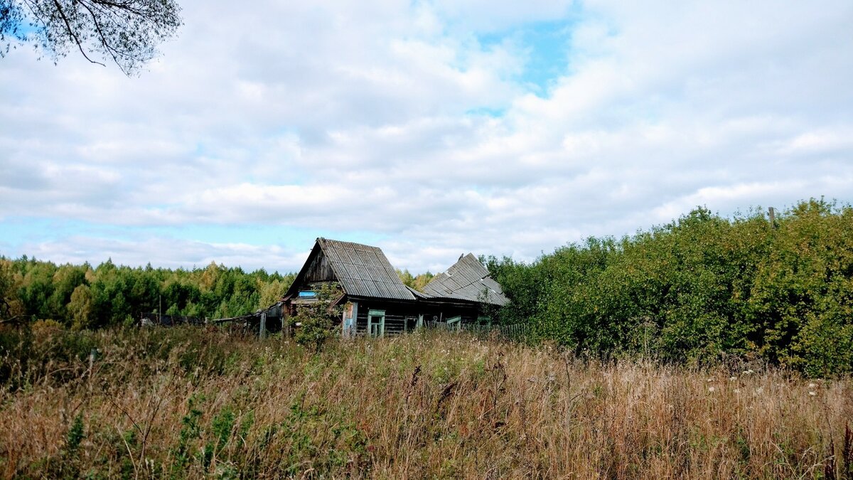 фото из открытых источников