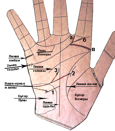 Основы хиромантии