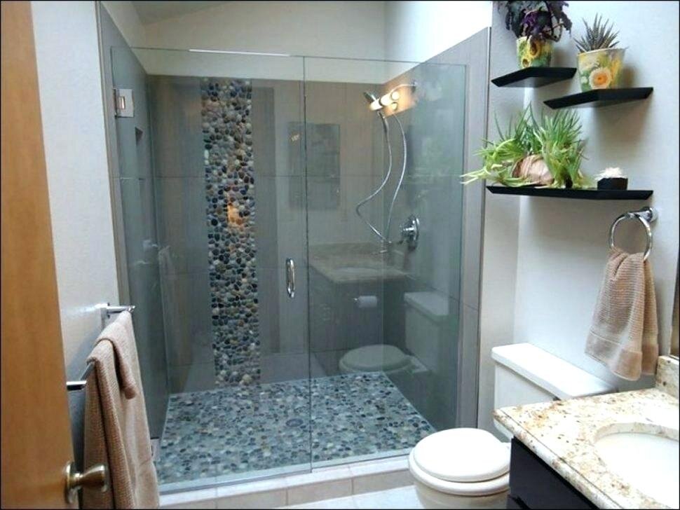 Источник: http://kekkonnhenoippo.info/small-bathroom-ideas-with-shower-only/