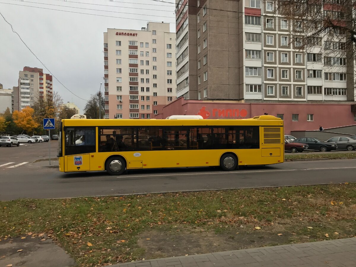 Случайно узнал, как ездить бесплатно в общественном транспорте в Беларуси |  Евгений и Дарья Олейники | Дзен