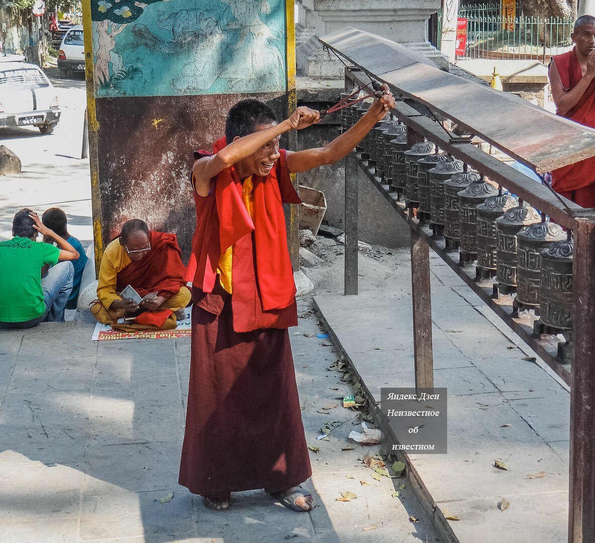 Бросаются на людей и кусают: мои наблюдения за живностью в Катманду