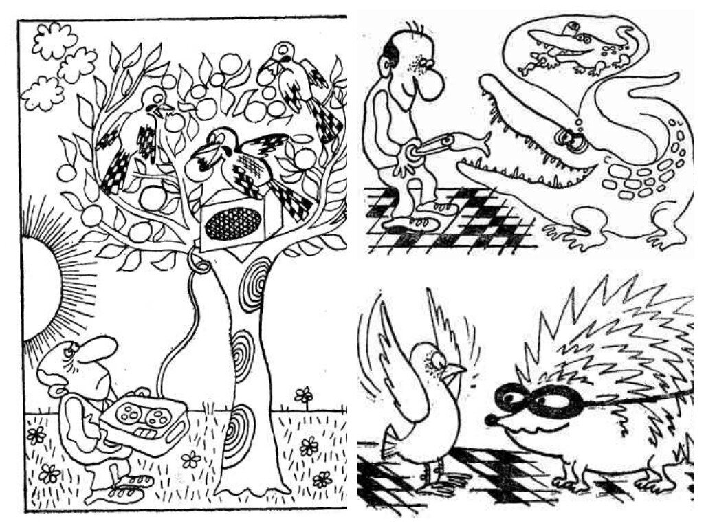 Иллюстрации к Книге Дня. Фото взяты из открытых источников в сети "Интернет"