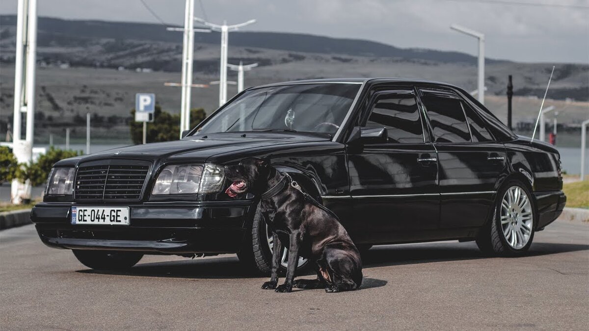 Волк в овечьей шкуре. Merсedes-Benz w124. | Иннокентий Степанов | Дзен