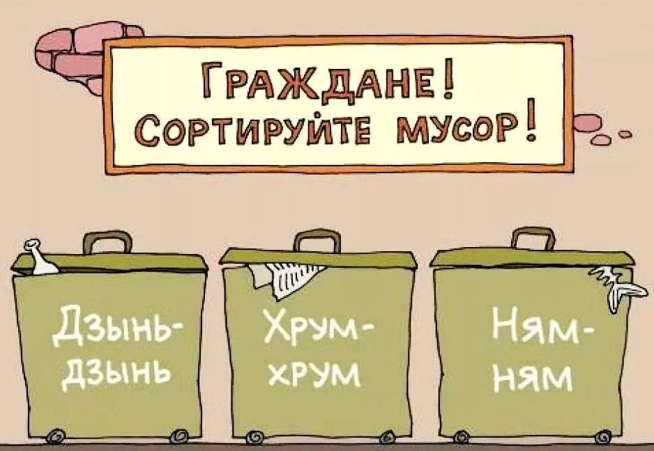 В гостях у португальцев: раздельный сбор мусора начинается с кухни