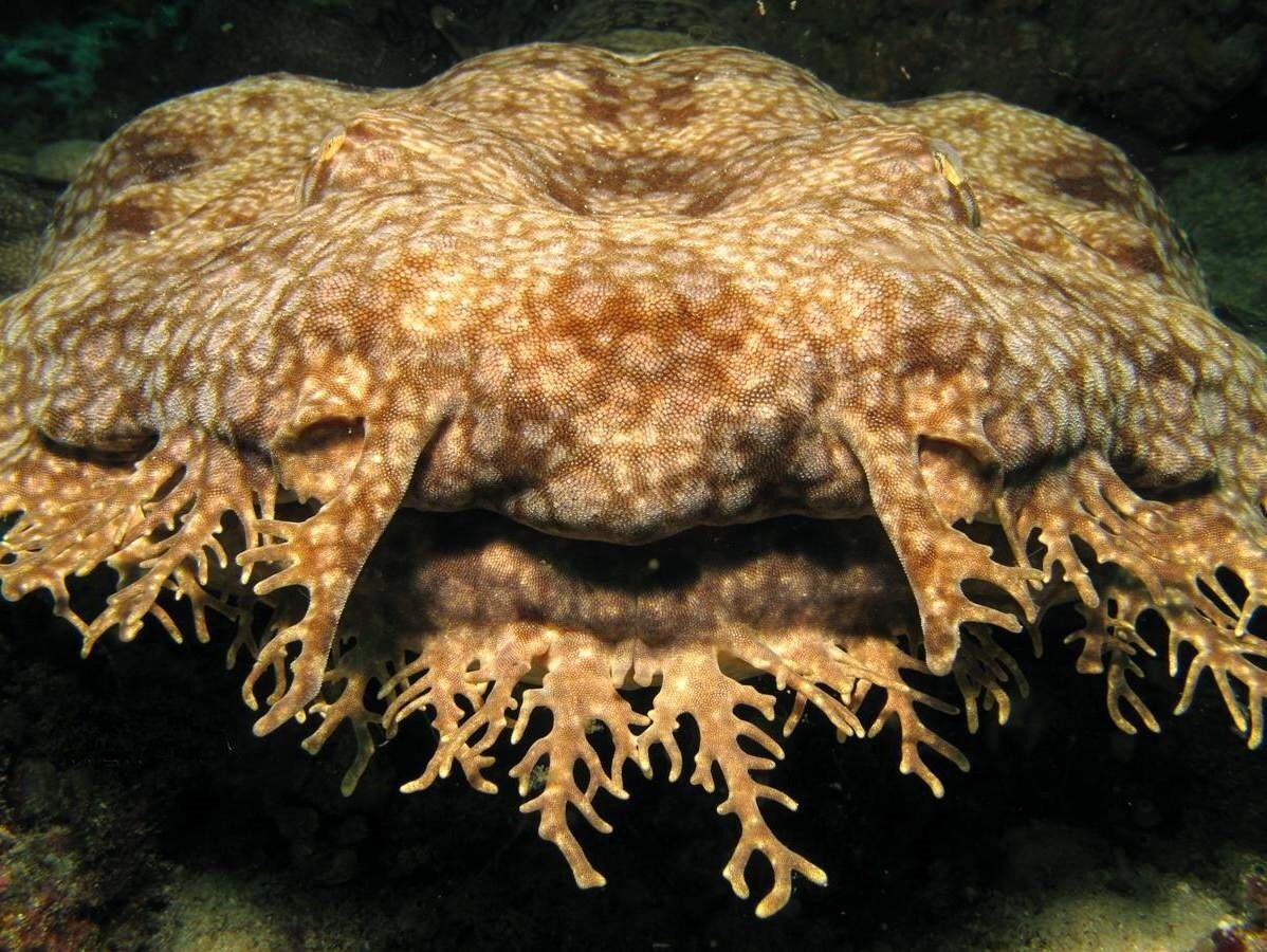 Источник: yandex.ru