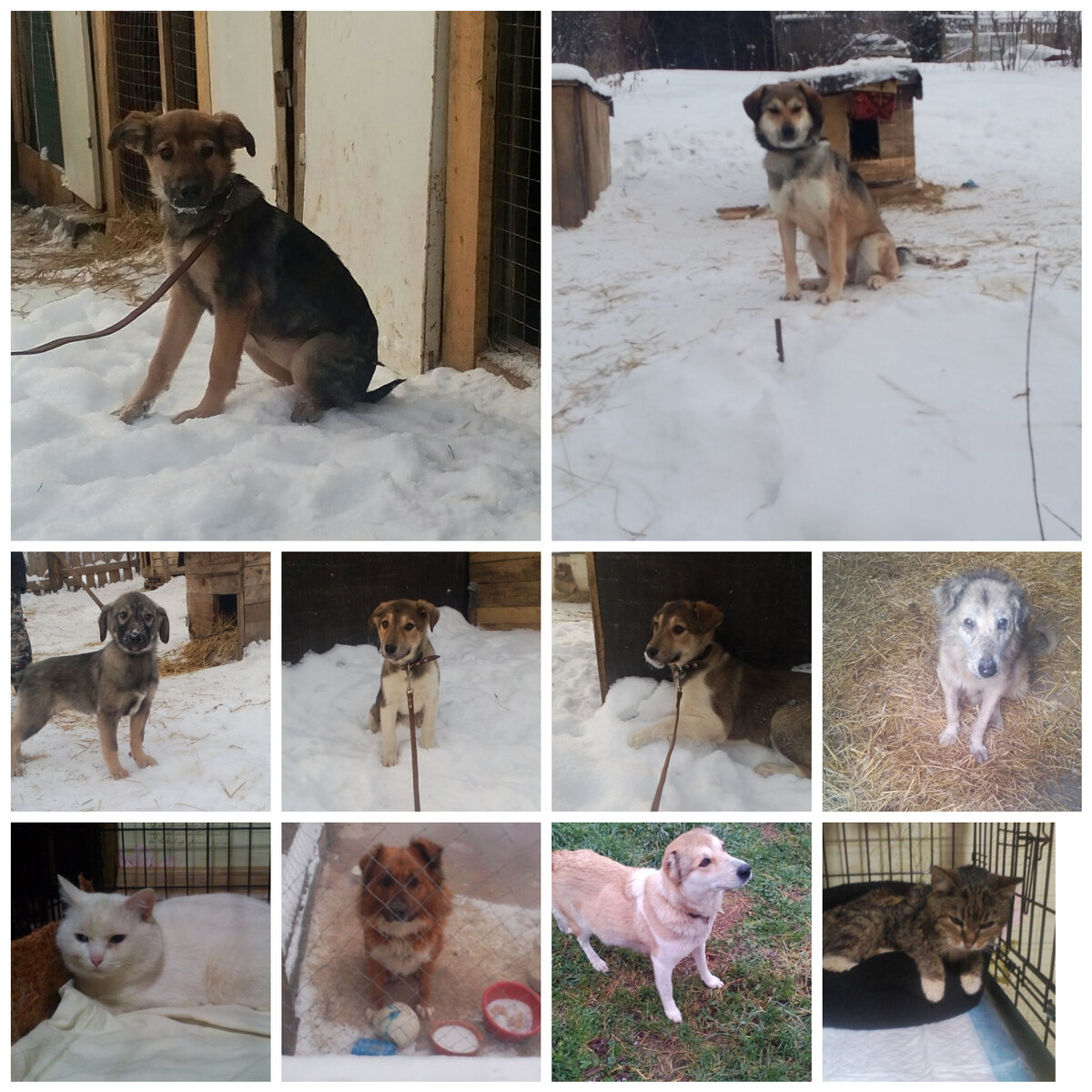 Фото сделано в приложение фотоколлаж