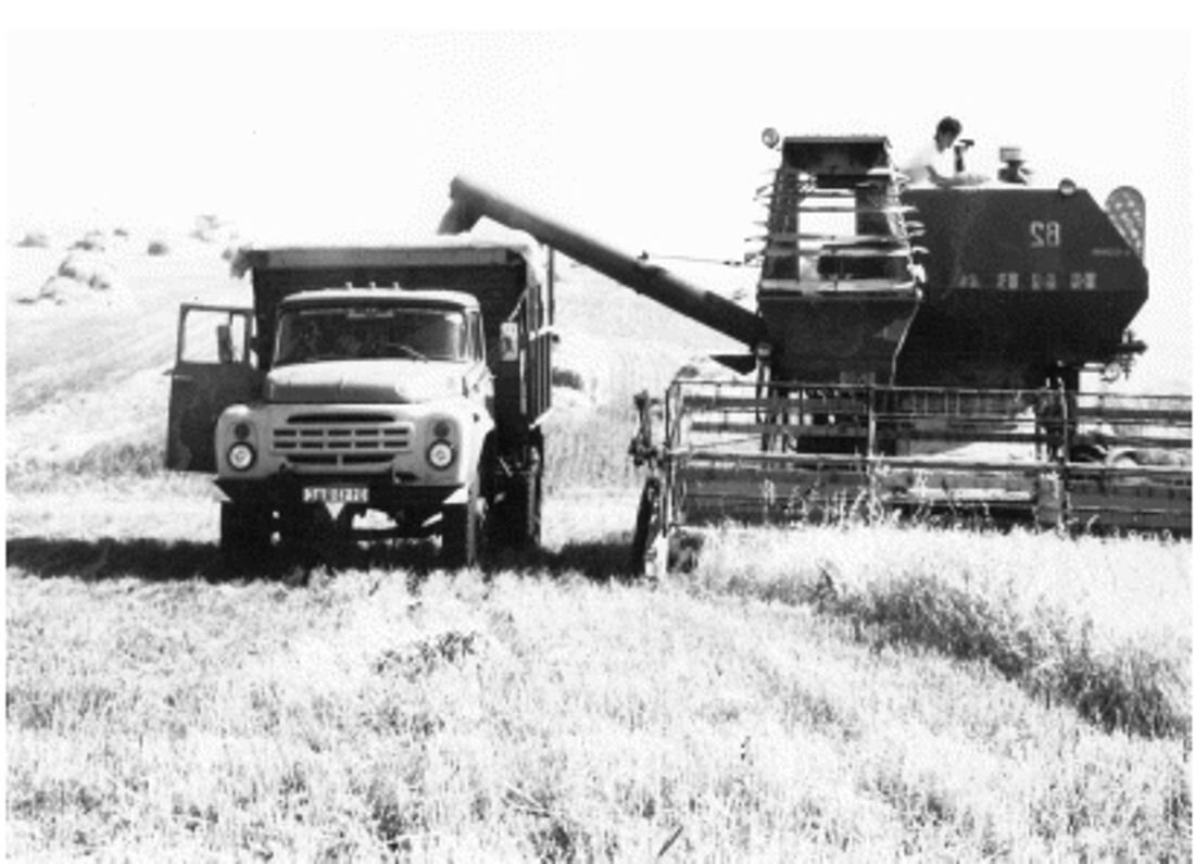 Фото из Яндекс Картинок