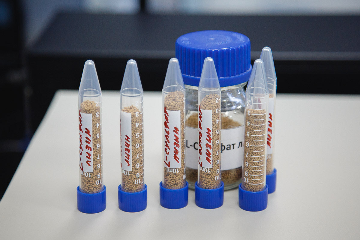 Источник фото: lysine31.ru