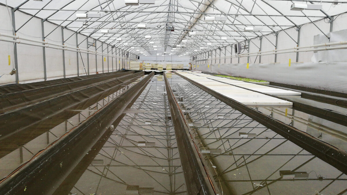 Готовим теплицу к зиме