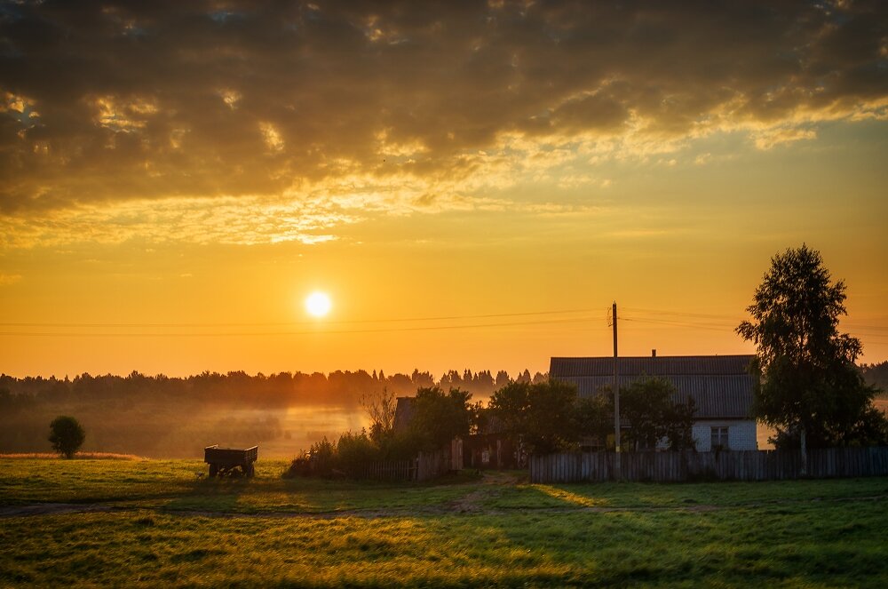 Фотография с ресурса Яндекс Картинки
