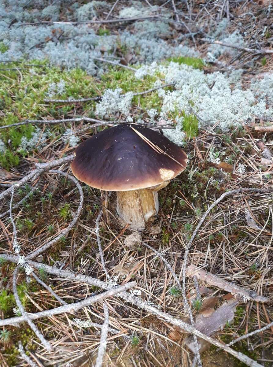 Личное фото Кати.