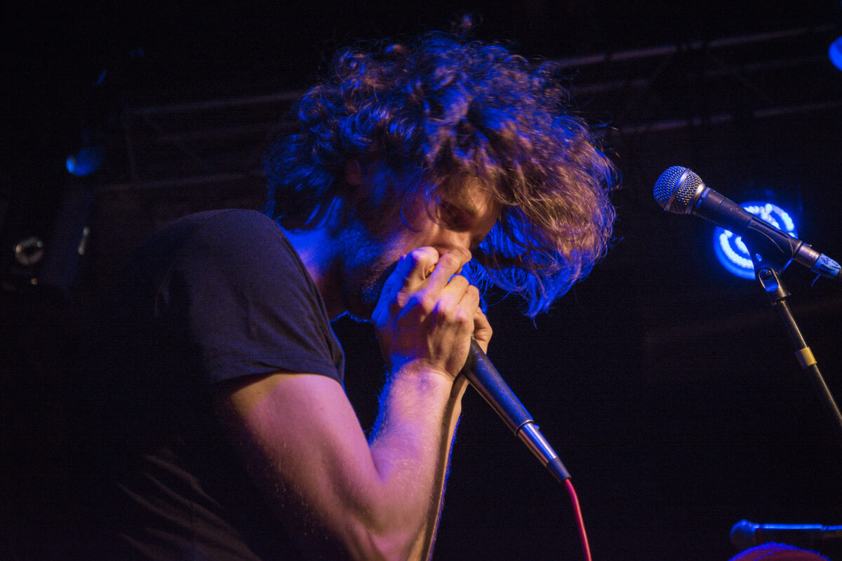 Харпфест 10 и 11 ноября в Санкт-Петербурге. Фото : Анастасия Бутина