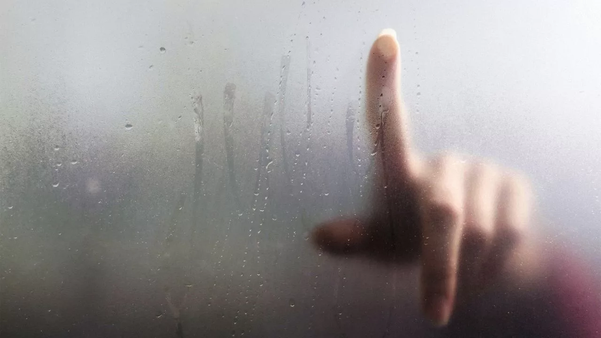 Фото из открытых источников.