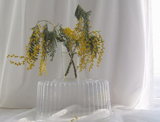 Вот это - прекрасный подарок. По мнению многих мужчин. 