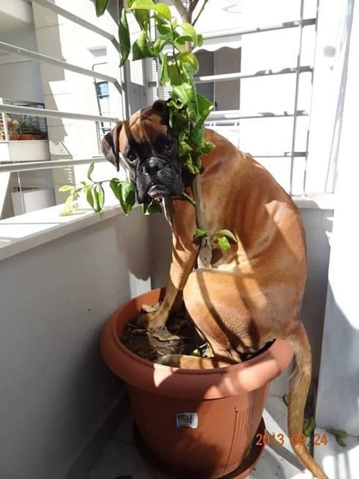 Фото из свободных источников Интернета