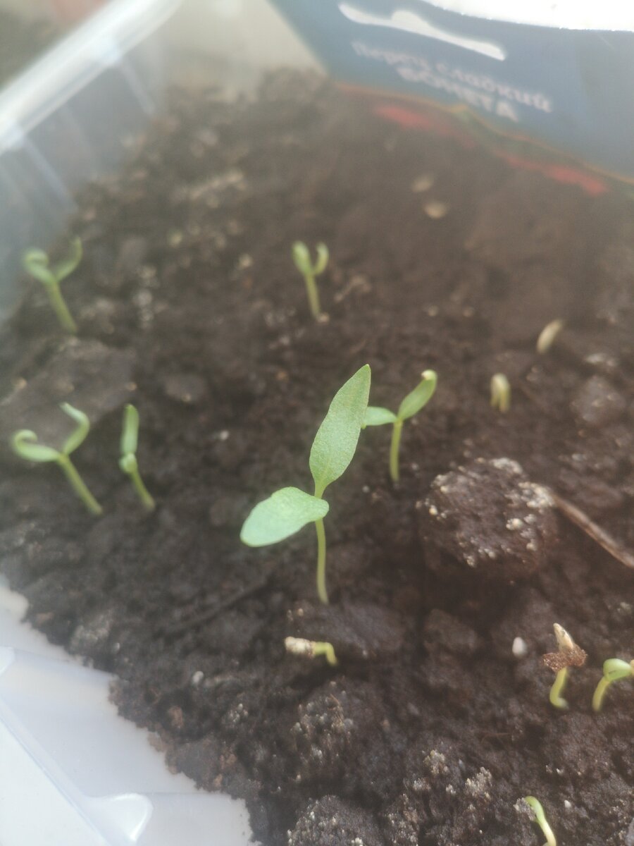 Ты растешь, развиваешься, смотришь на мир по другому, мелочи не так приятны, ты их почти не замечаешь, тебя поглощает рутина, но тебе не запрещают изменить свой взгляд на мир, начни радоваться, мир прекрасен начни видеть то чего не замечал, и каждый день ты проживёшь в радость! 