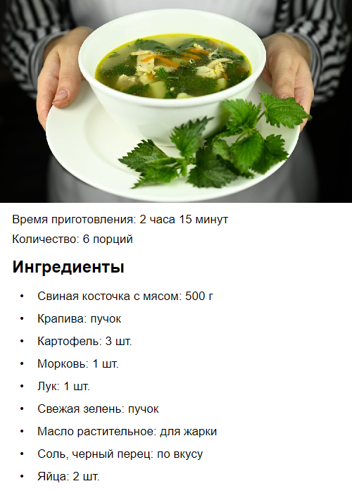 Простой рецепт крапивного супа