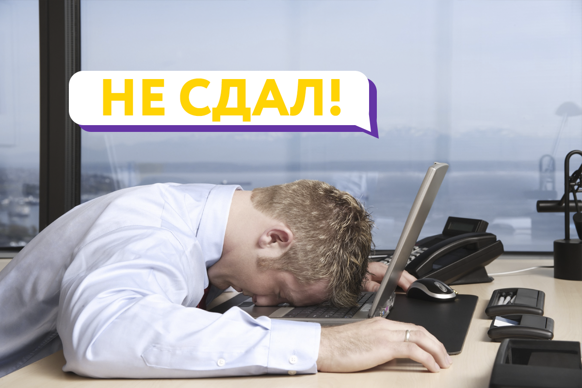 источник: Яндекс