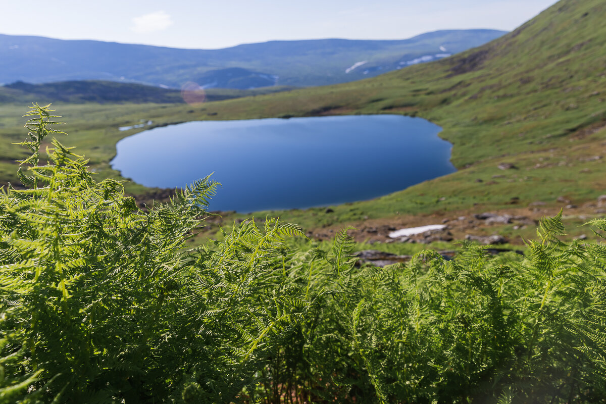 Весна и лето в горах Северного Урала проходят стремительно. Всего месяц назад - в июне склоны покрывали снега, через пару недель пошла буйствовать скудная северная зелень, а в начале августа снова лег снег. 