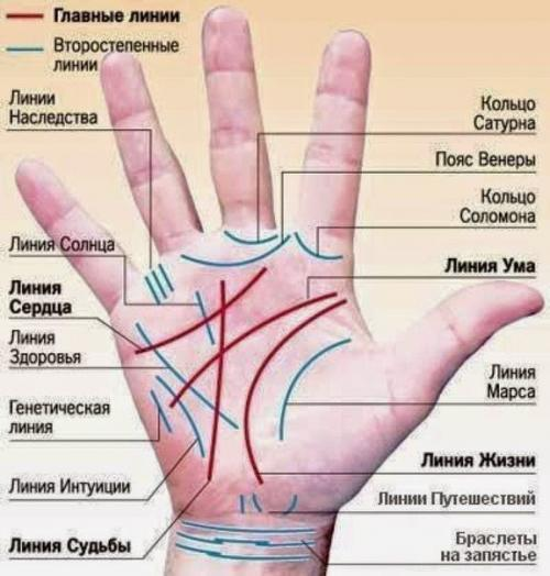 Что означают линии на ладонях