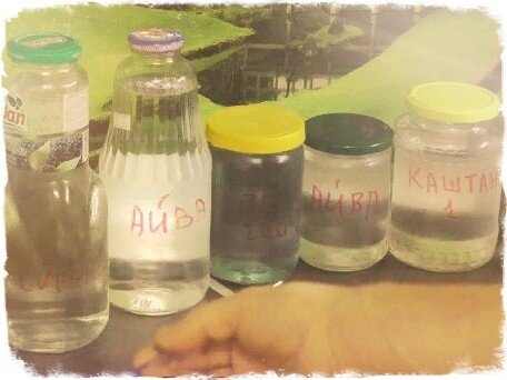 Не забудьте поставить ЛАЙК и ПОДПИСАТЬСЯ НА КАНАЛ 