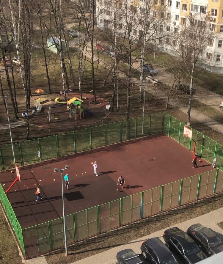 28 марта. Москва. Утро. Фото автора 