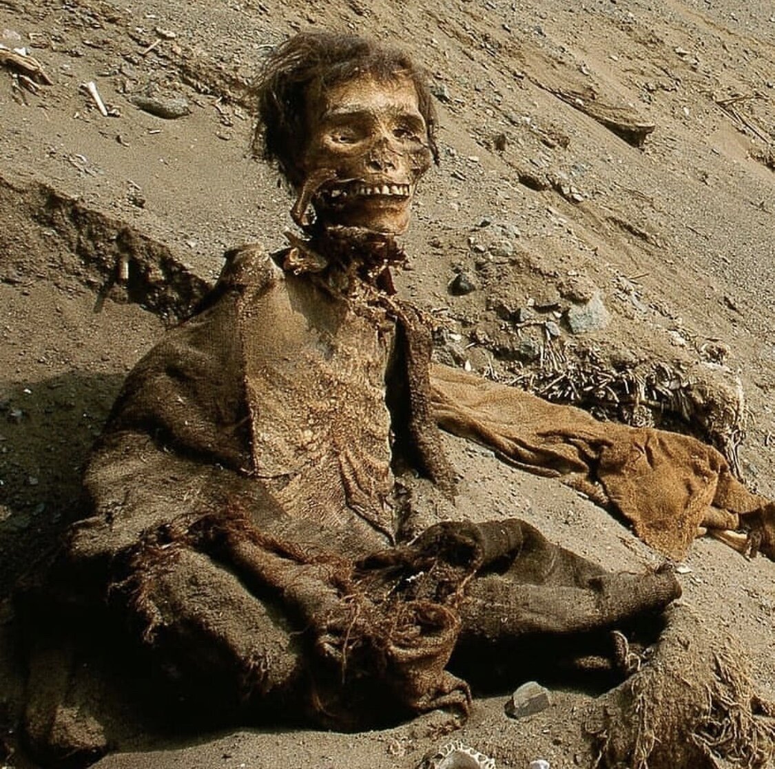 мумия племени Чинчорро
