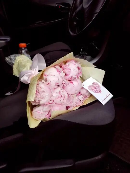 Яндекс.Картинки