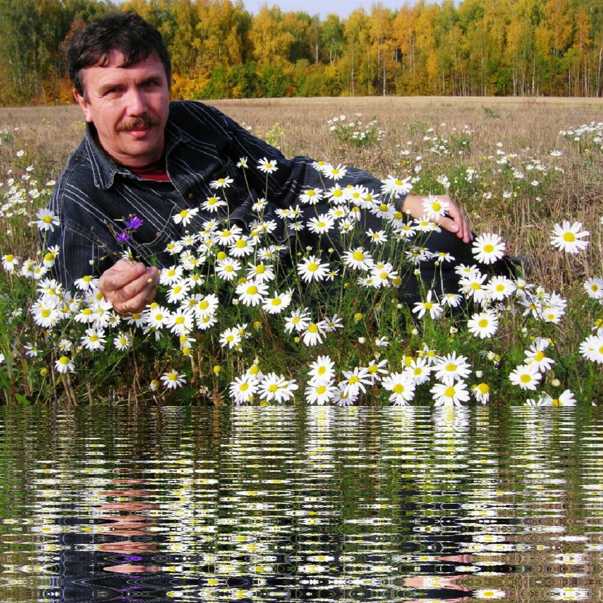 Мой полет на парашюте с приземлением на ромашковое <b>поле</b> (фотомистерия) .