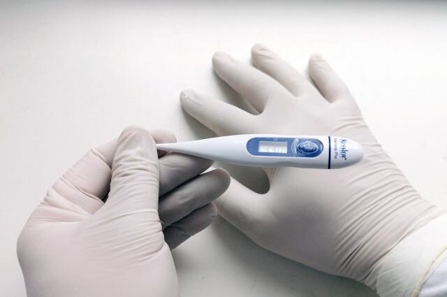 Фото из свободных источников