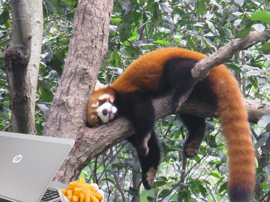 Примерно так я провожу свое свободное время