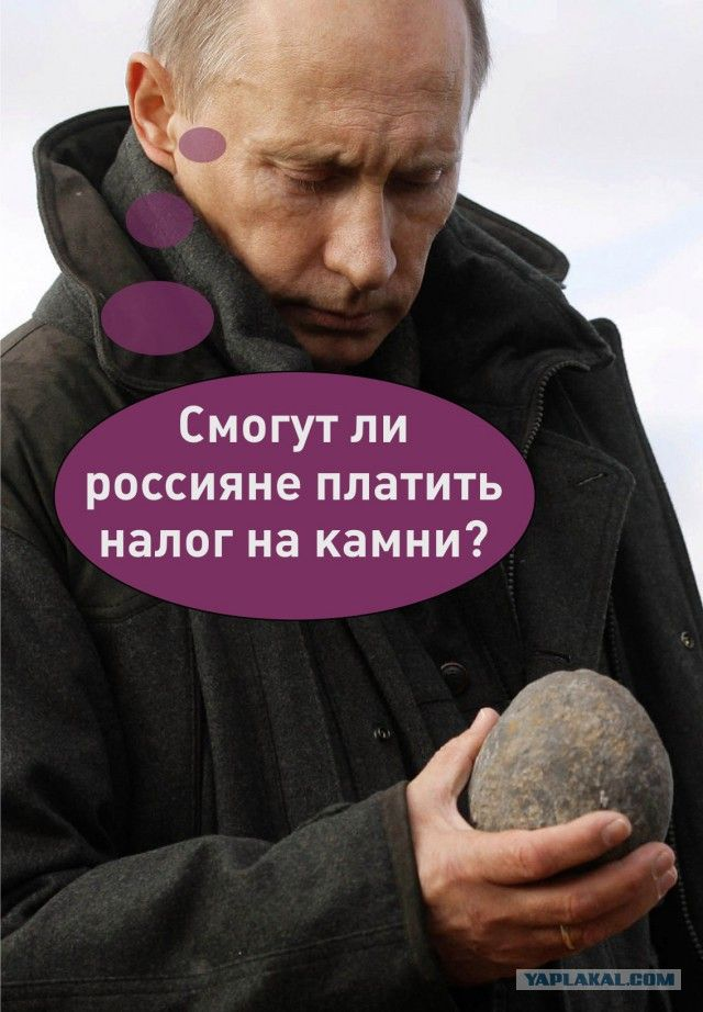 Из открытых источников