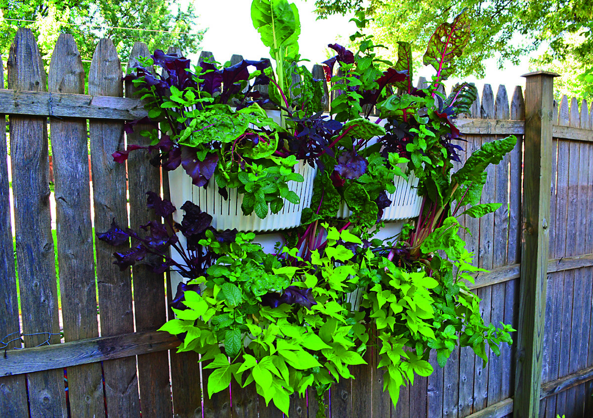 На заборе очень симпатично смотрятся такие грядки