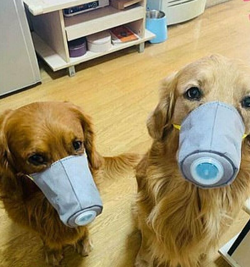 фото с плоoадки yandex.ru