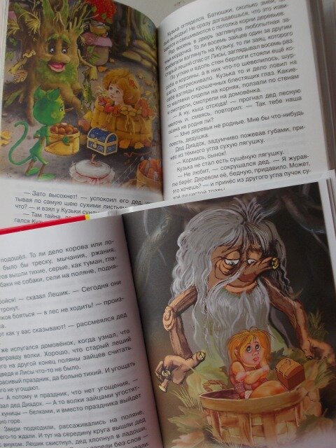 Два "домовёнка"