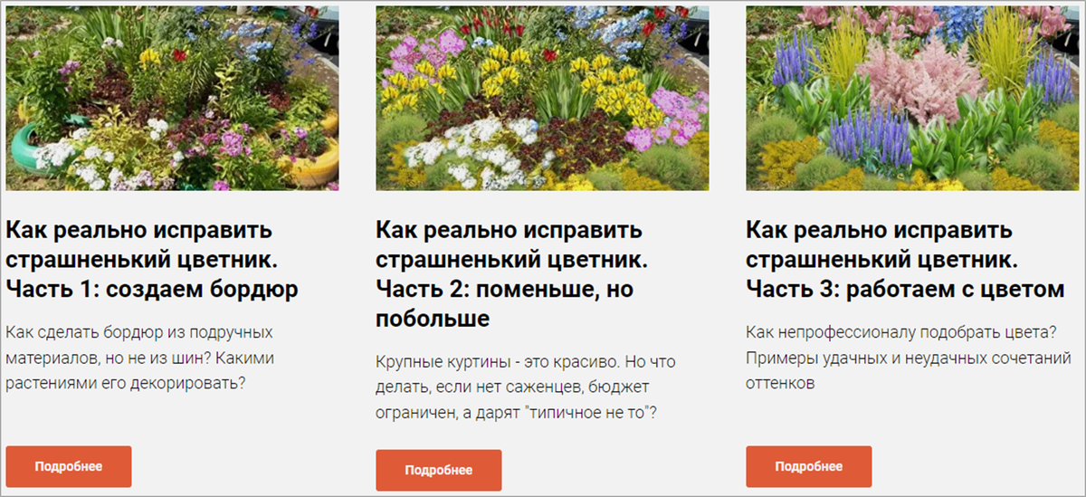 Особенности выращивания