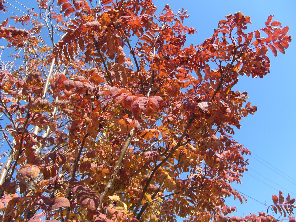 На фоне голубого неба, удивительное зрелище