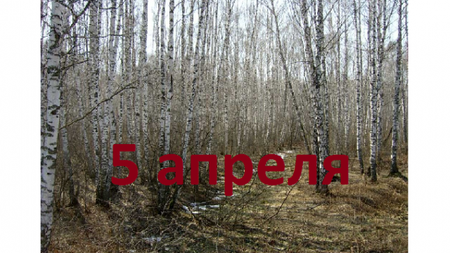 апреля сегодня завтра в. апреля сегодня завтра в. праздники в апреле. поздравление с днем дурака. 1 апреля открытки.