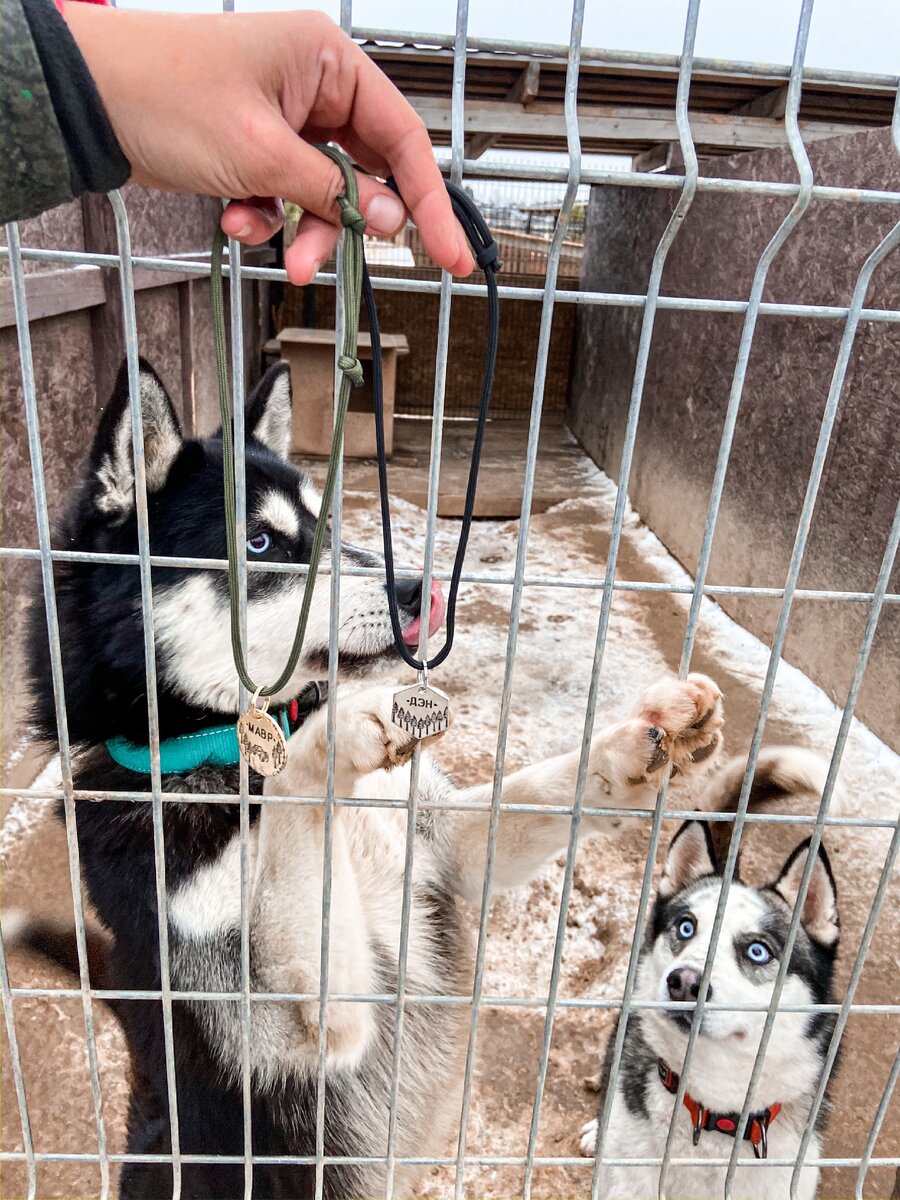 Они долго жили вместе, пока кое что не случилось...