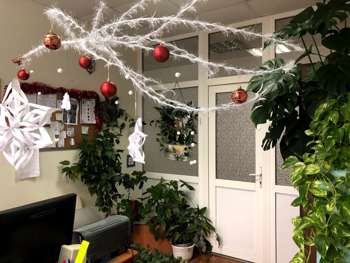 В кабинете много цветов не бывает. Их всегда мало