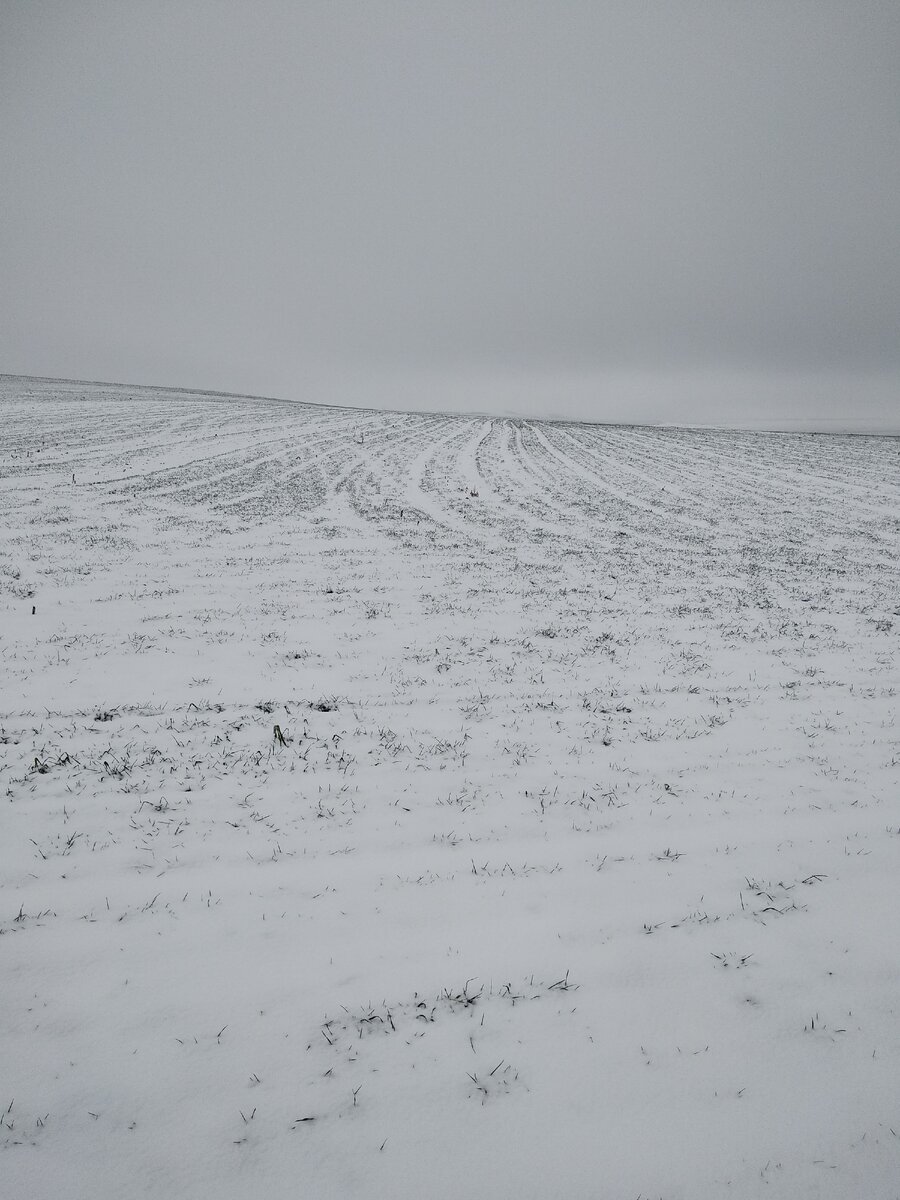 Личное фото