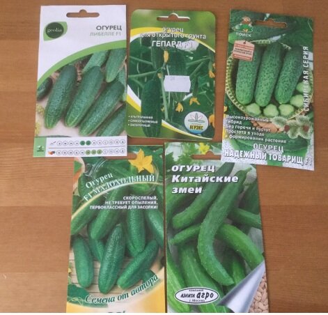 огурец либелле f1 описание отзывы