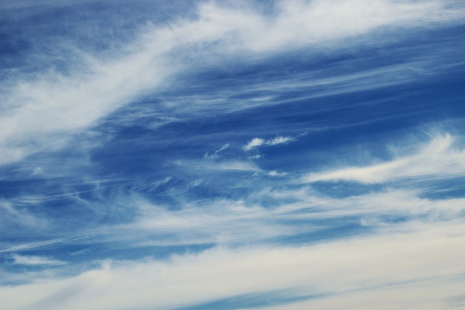 Фото: RandallBillings / pixabay.com